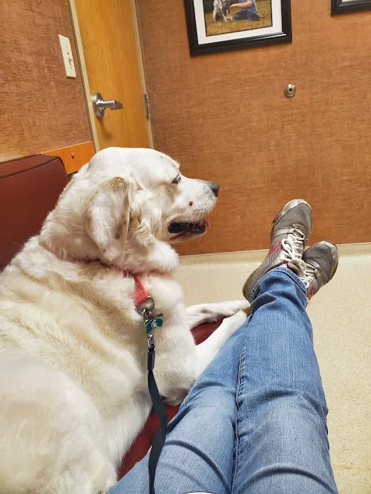 Haslett Animal Hospital 5