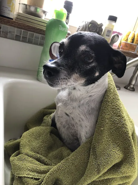 Banfield Pet Hospital 12