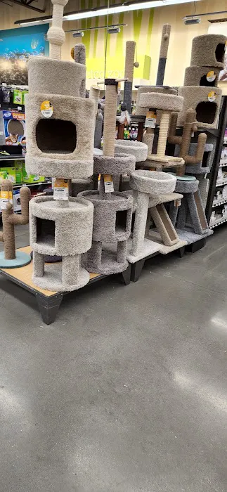 Petco 12