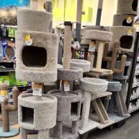 Petco ico