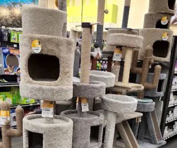 Petco
