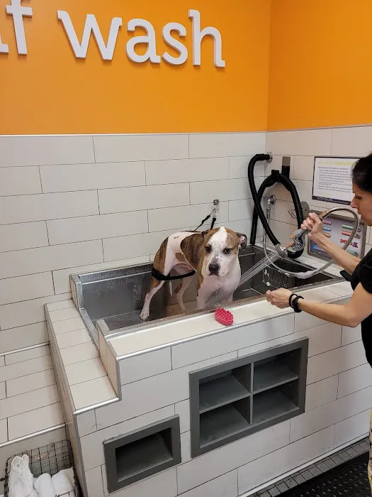 Petco 12