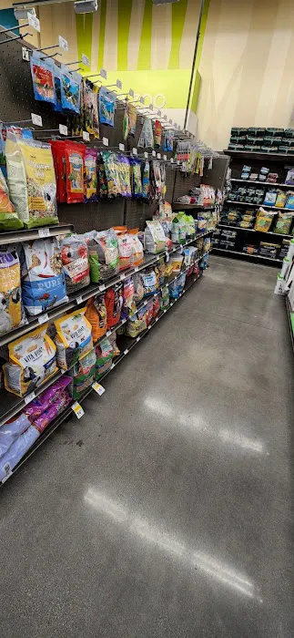 Petco 12