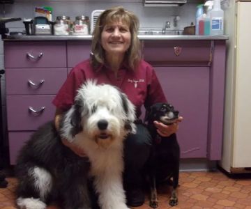 Eastside Animal Hospital
