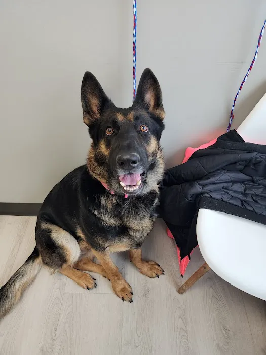 Evergreen Veterinary Clinic 4