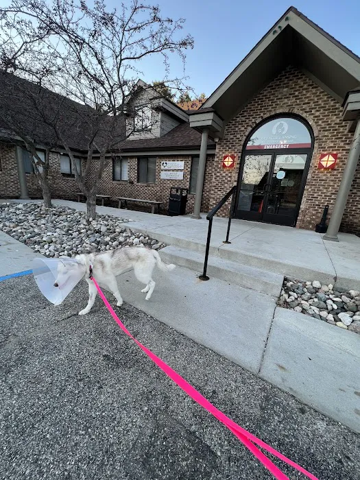 Greater Lansing Veterinary Center 12