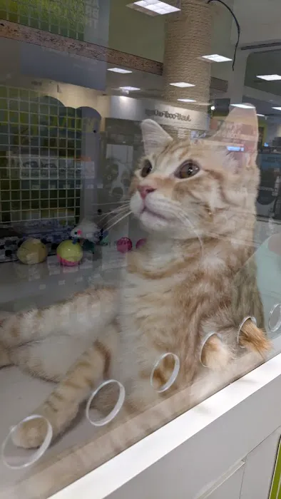 Petco 12