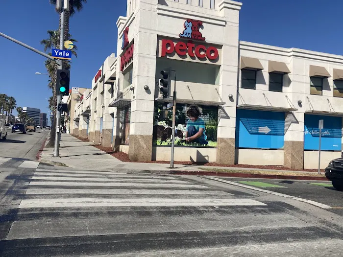 Petco 12