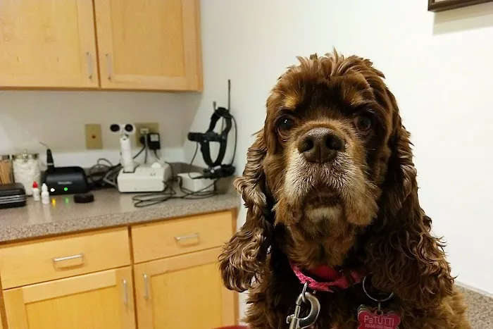 The Animal Ophthalmology Center 3
