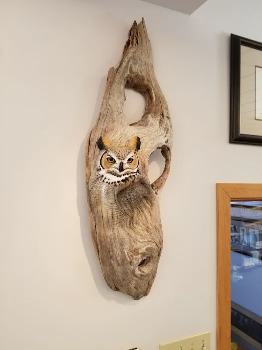 The Animal Ophthalmology Center 2