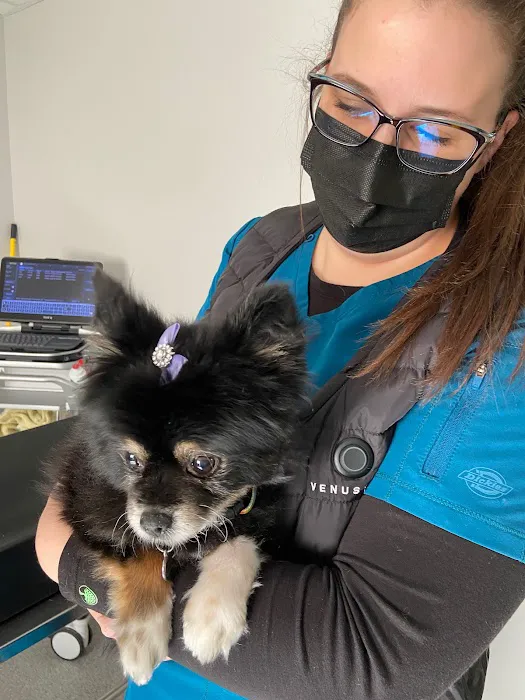 Animal Ultrasound Services, Inc 8
