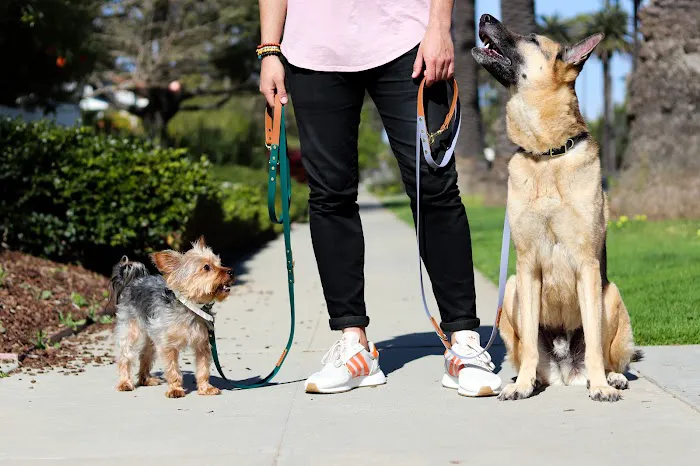 Leashed! LA 12