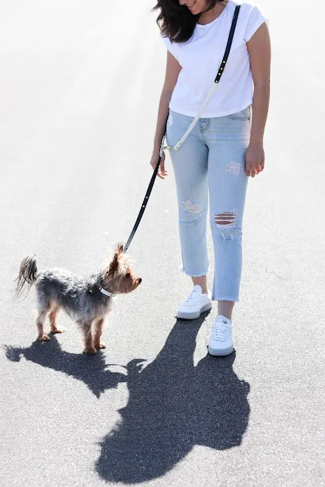 Leashed! LA 12