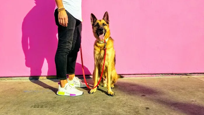 Leashed! LA 12