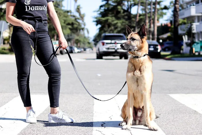 Leashed! LA 12