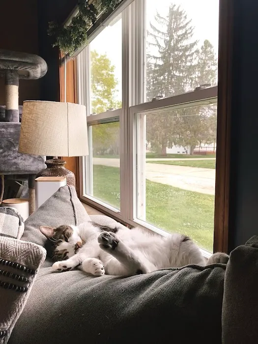 Mid-Michigan Veterinary Cardiology 12