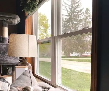 Mid-Michigan Veterinary Cardiology