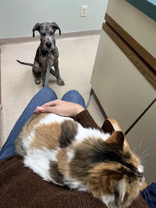 Williamston Animal Clinic 3