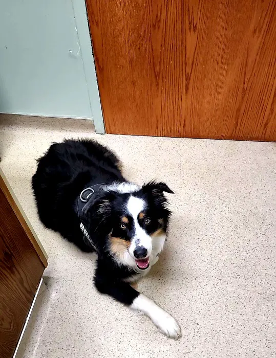 Williamston Animal Clinic 9