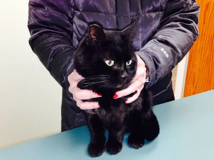 Williamston Animal Clinic 8