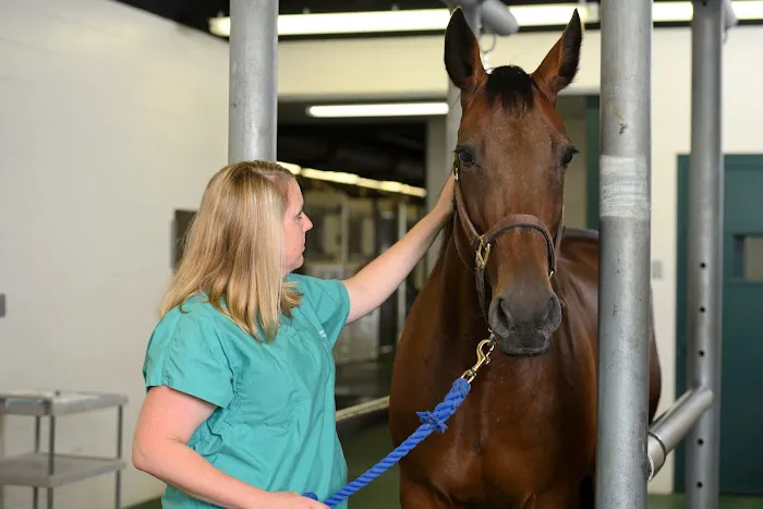 Michigan State University Veterinary Medical Center 12