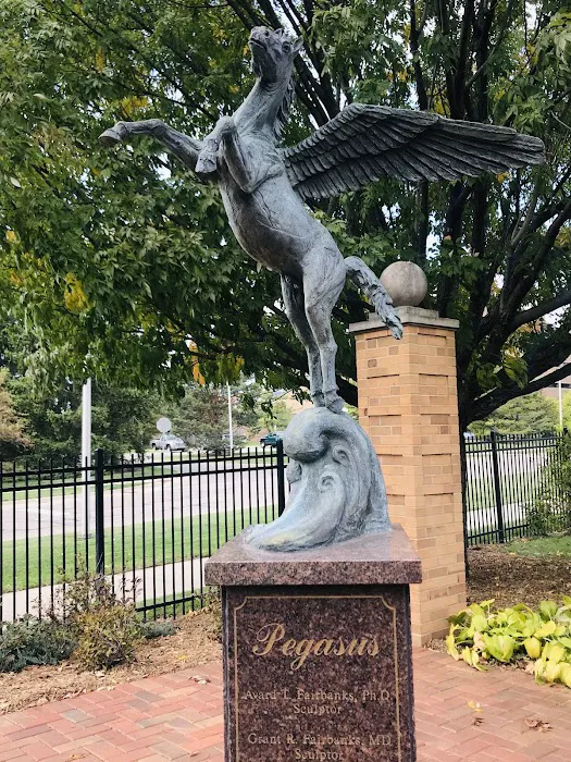 Pegasus Critical Care Center 12