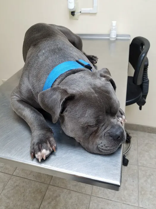 Prairie Animal Hospital 12