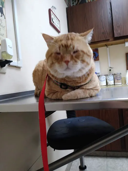 Prairie Animal Hospital 12