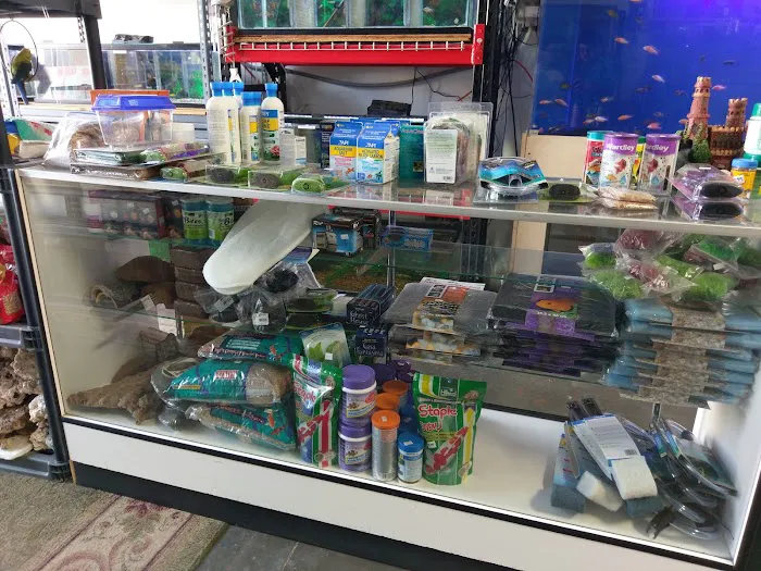 Tropical Fish and Feed 4