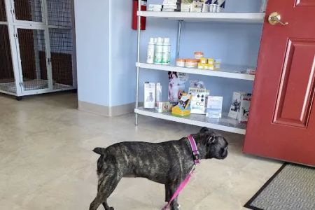 All Creatures Small Animal Hospital
