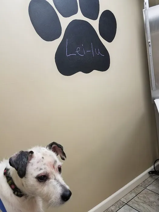 Janesville Veterinary Clinic - East 1