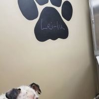 Janesville Veterinary Clinic - East ico