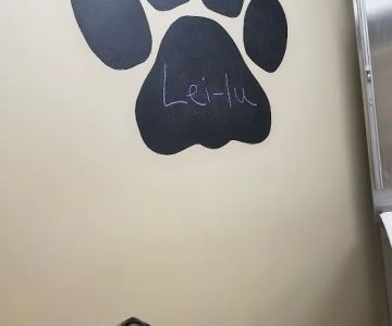 Janesville Veterinary Clinic - East