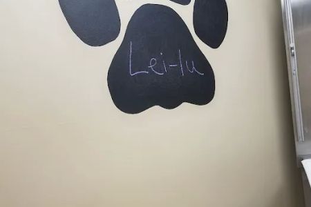 Janesville Veterinary Clinic - East