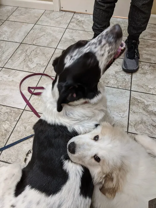 Janesville Veterinary Clinic - East 6