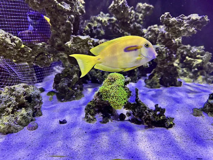Aquarium Reefers Online Store 12