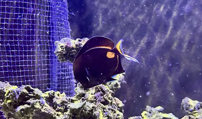 Aquarium Reefers Online Store 12