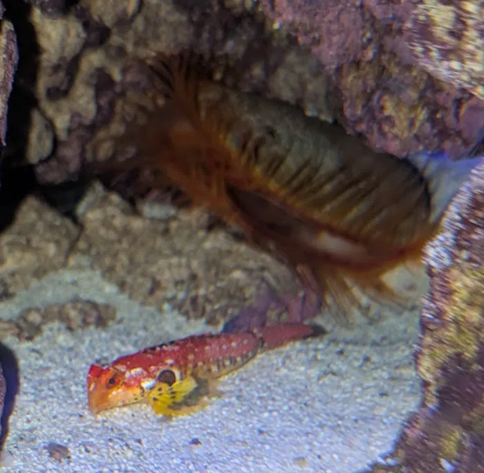 Aquarium Reefers Online Store 12
