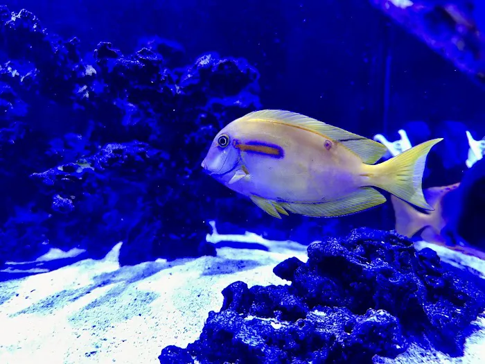 Aquarium Reefers Online Store 12