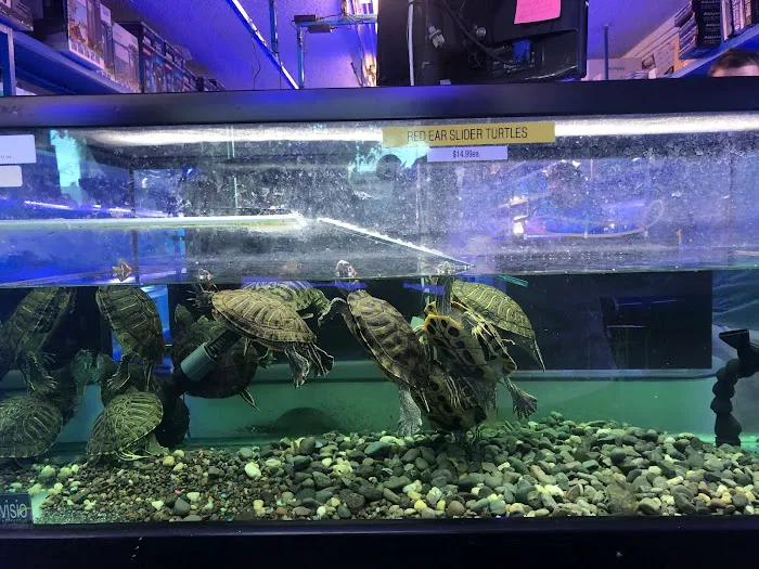 Rainbow Aquarium and Pond 12