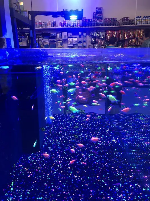 Rainbow Aquarium and Pond 12