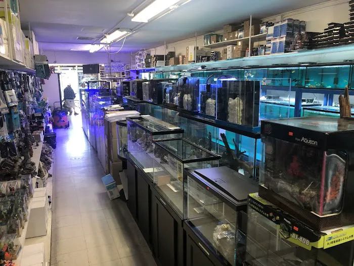 Rainbow Aquarium and Pond 12
