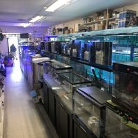 Rainbow Aquarium and Pond ico