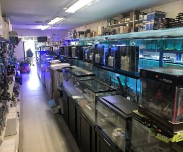 Rainbow Aquarium and Pond