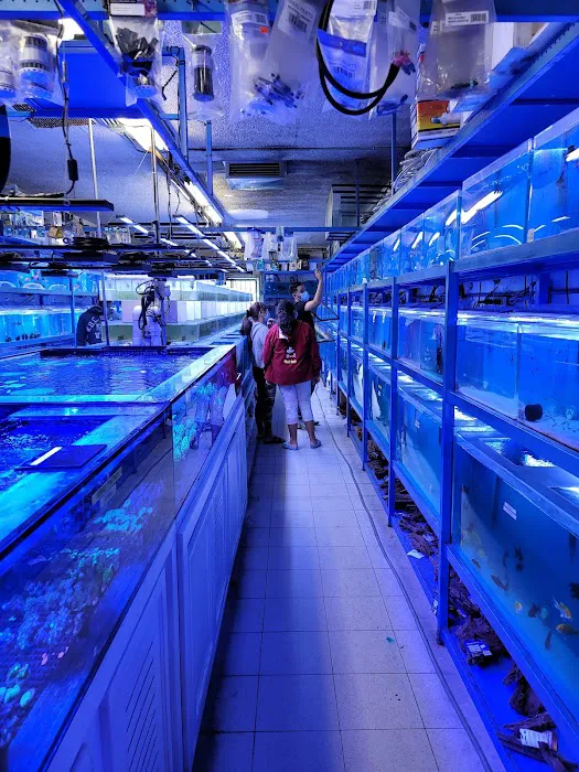 Rainbow Aquarium and Pond 12