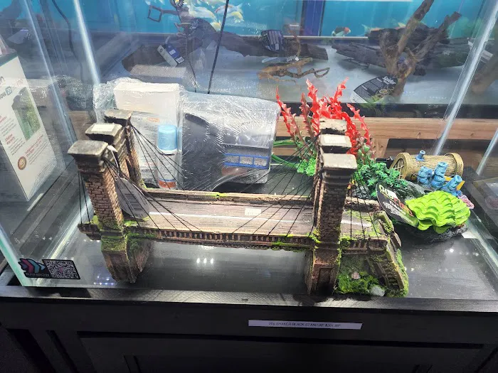 Rainbow Aquarium and Pond 12
