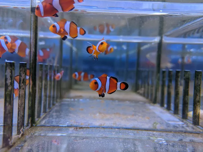 Rainbow Aquarium and Pond 12