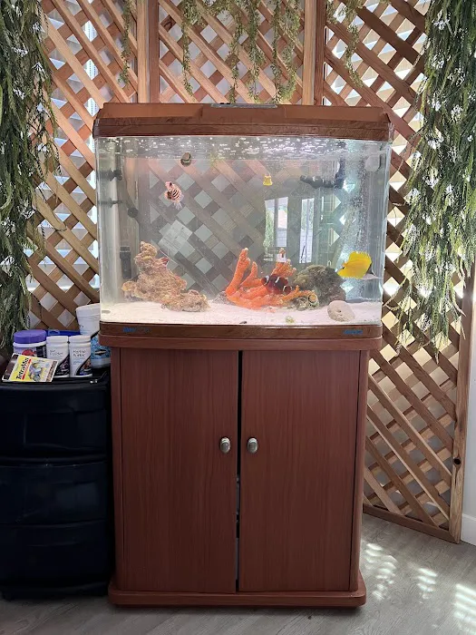 Rainbow Aquarium and Pond 12