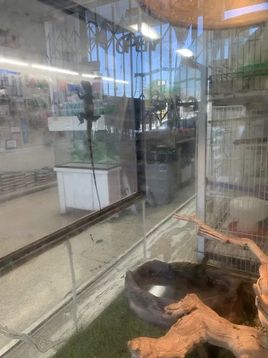 Pet Shop 12