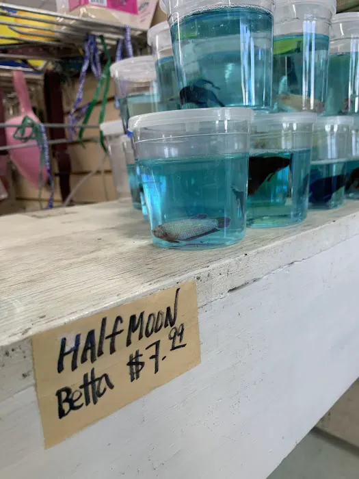 Pet Shop 12